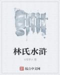 林氏水滸小说封面